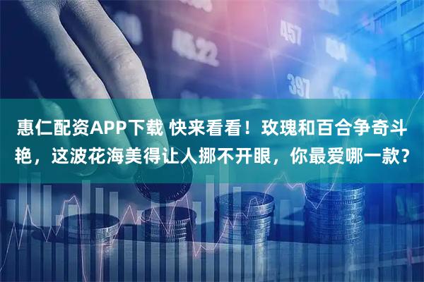 惠仁配资APP下载 快来看看！玫瑰和百合争奇斗艳，这波花海美得让人挪不开眼，你最爱哪一款？
